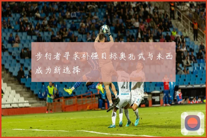 步行者寻求补强目标奥孔武与米西成为新选择